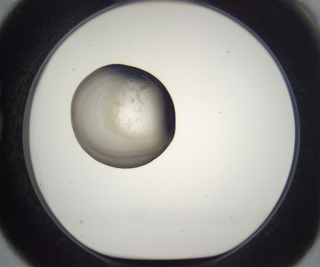 folderID216_plateID2216_batchID10056_wellNum75_profileID1_d1_r152011_ef.jpg