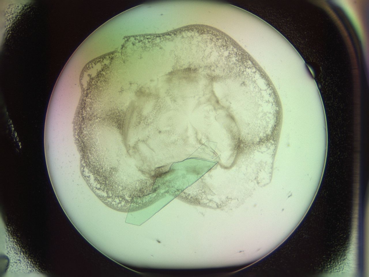 02nu_A7_ImagerDefaults_8.jpg