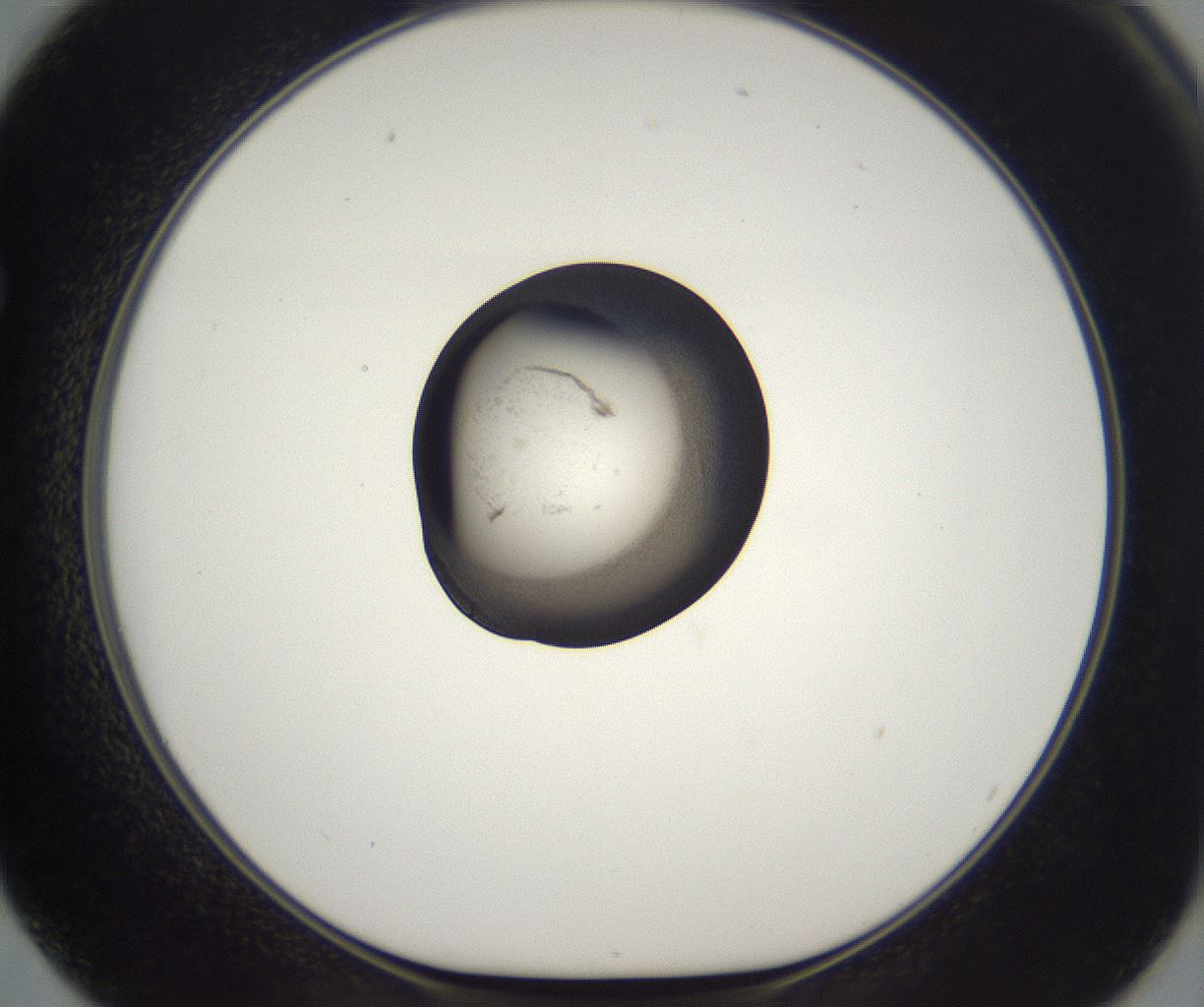 folderID227_plateID2227_batchID10099_wellNum62_profileID1_d1_r154005_ef.jpg