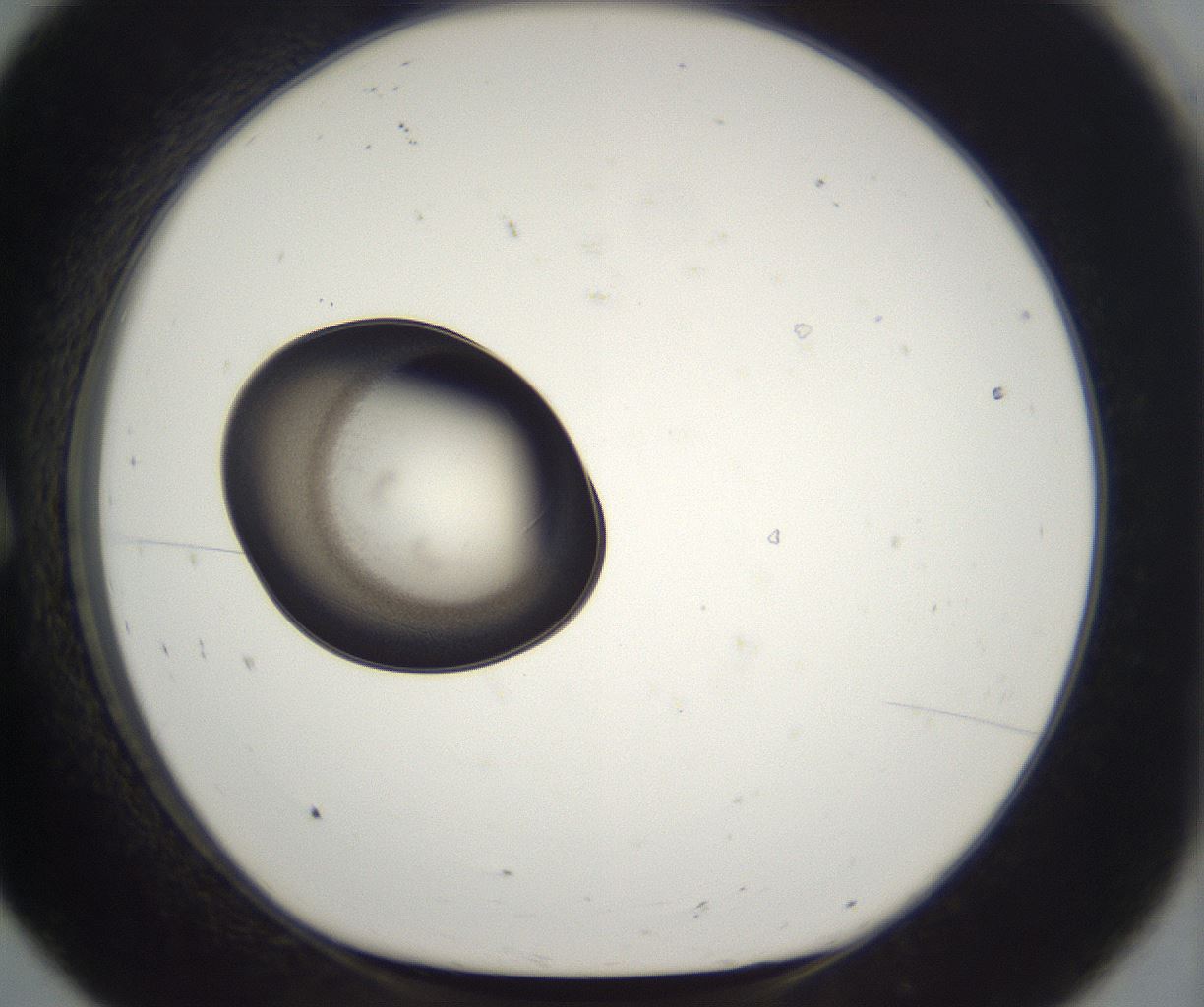 folderID227_plateID2227_batchID10099_wellNum8_profileID1_d1_r153897_ef.jpg