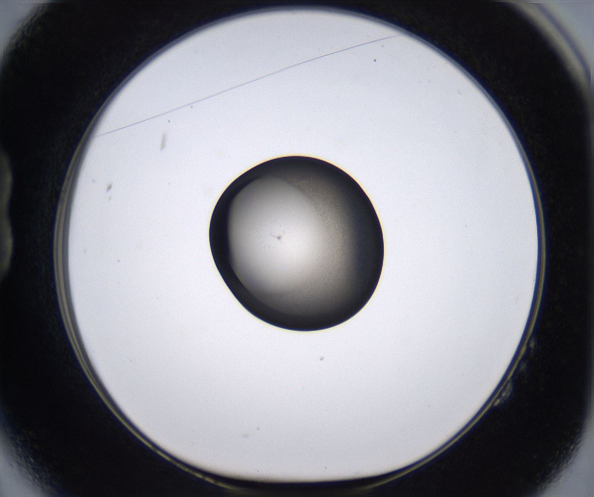folderID228_plateID2228_batchID10093_wellNum14_profileID1_d1_r152949_ef.jpg