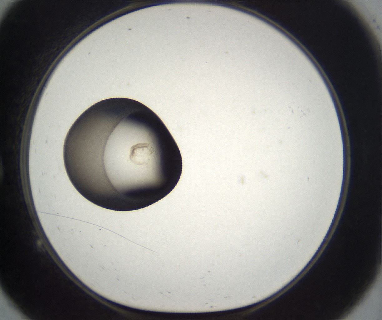 folderID227_plateID2227_batchID10099_wellNum9_profileID1_d1_r153899_ef.jpg