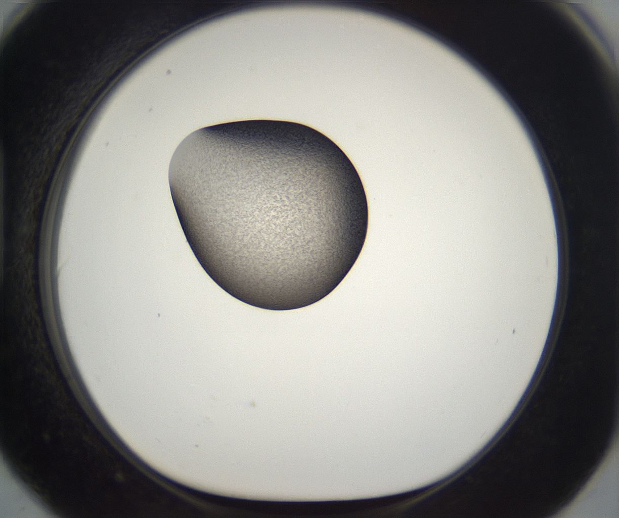 folderID229_plateID2229_batchID10100_wellNum90_profileID1_d1_r154253_ef.jpg