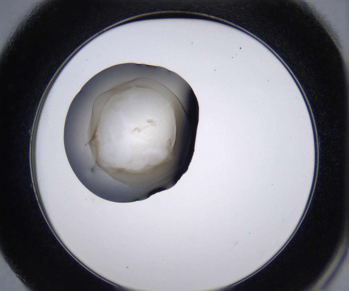 folderID230_plateID2230_batchID10094_wellNum49_profileID1_d2_r153212_ef.jpg