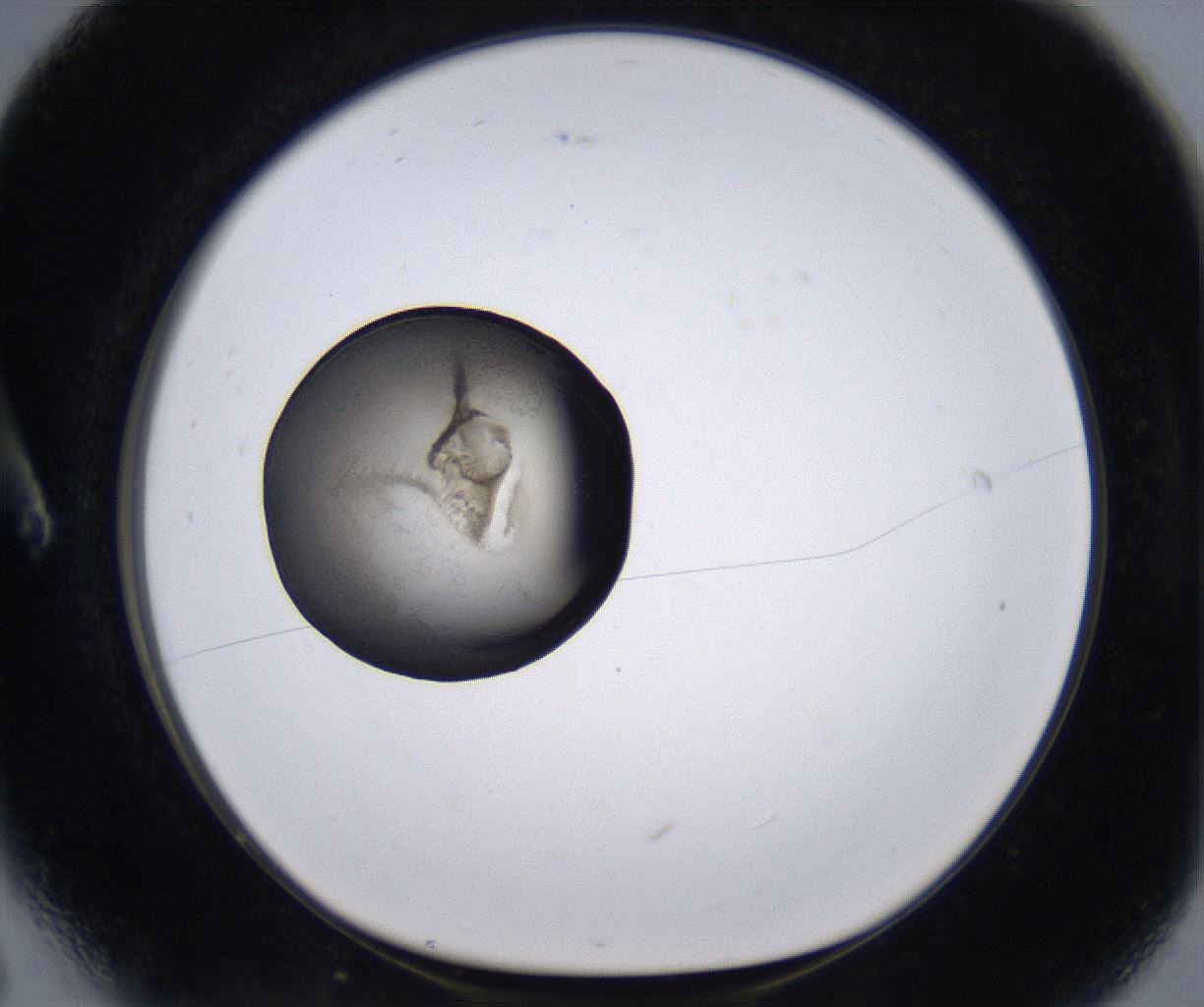 folderID230_plateID2230_batchID10094_wellNum6_profileID1_d1_r153125_ef.jpg