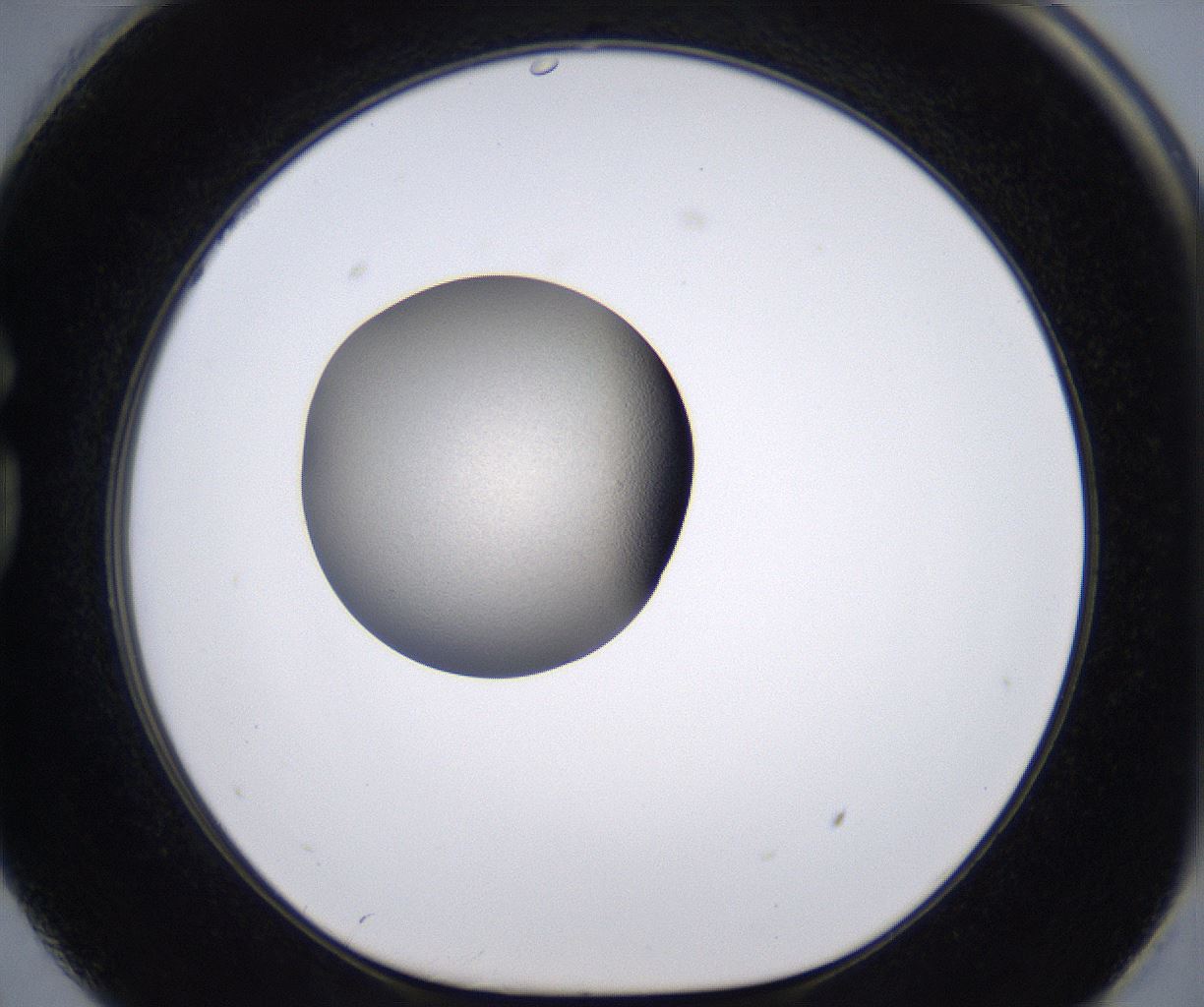 folderID230_plateID2230_batchID10094_wellNum74_profileID1_d1_r153261_ef.jpg