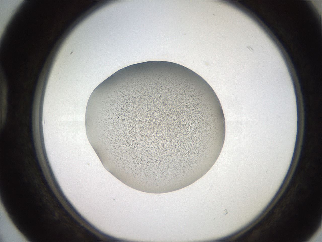 folderID234_plateID2234_batchID10122_wellNum40_profileID1_d1_r154402_ef.jpg