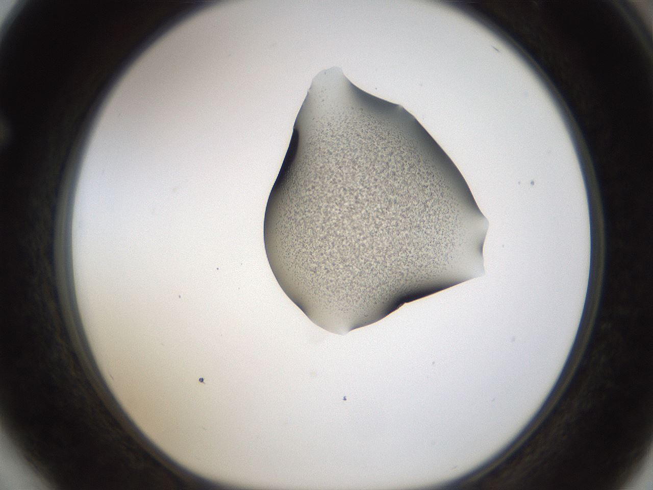 folderID236_plateID1236_batchID3800_wellNum64_profileID1_d1_r71905_ef.jpg
