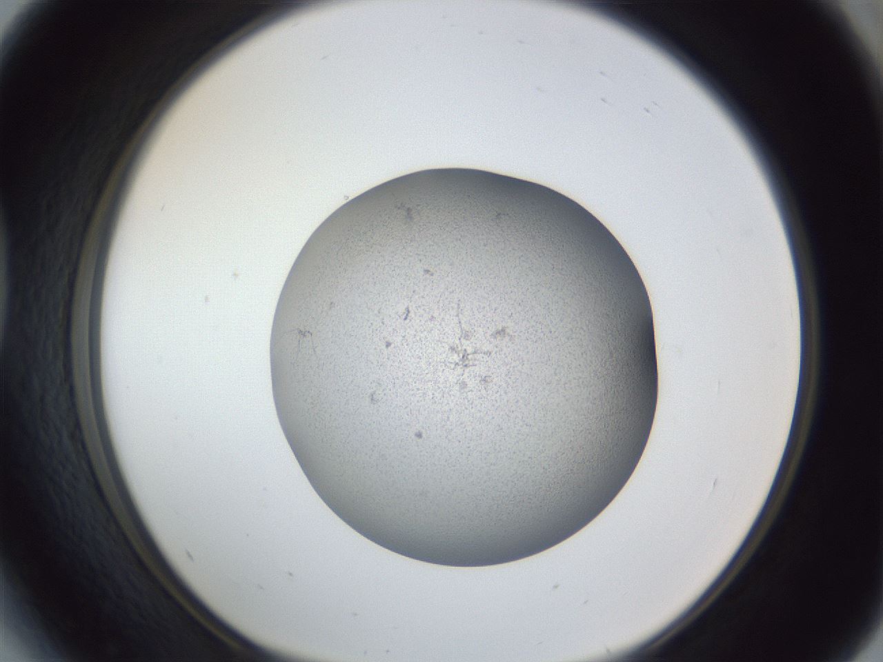 folderID249_plateID1249_batchID3996_wellNum41_profileID1_d1_r72406_ef.jpg
