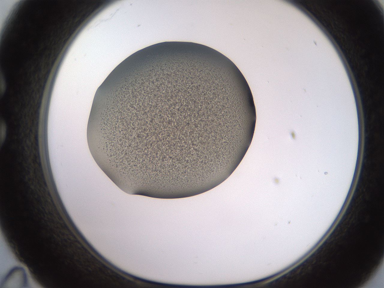 folderID249_plateID2249_batchID10284_wellNum35_profileID1_d1_r156290_ef.jpg