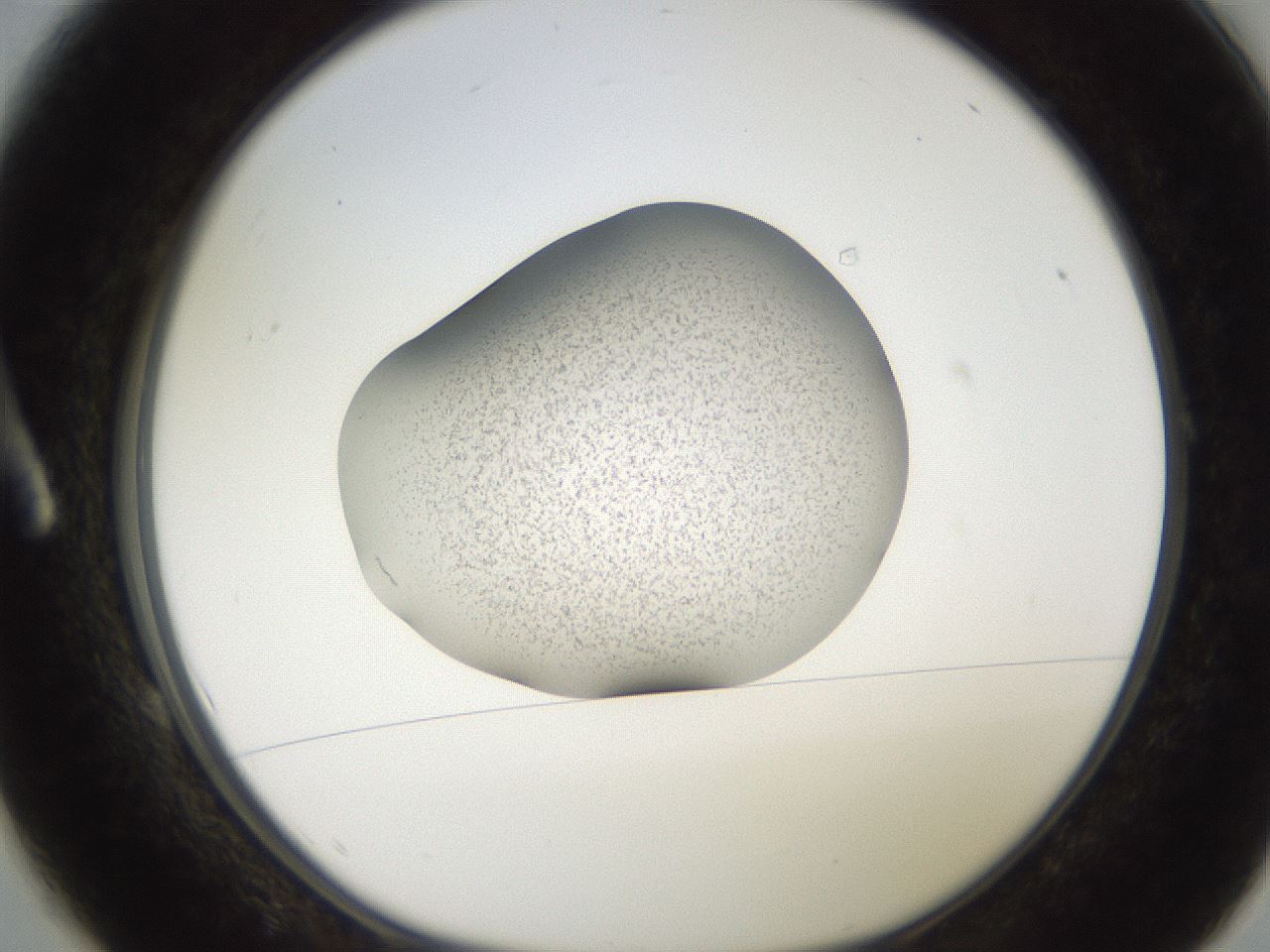 folderID250_plateID2250_batchID10282_wellNum1_profileID1_d1_r155451_ef.jpg