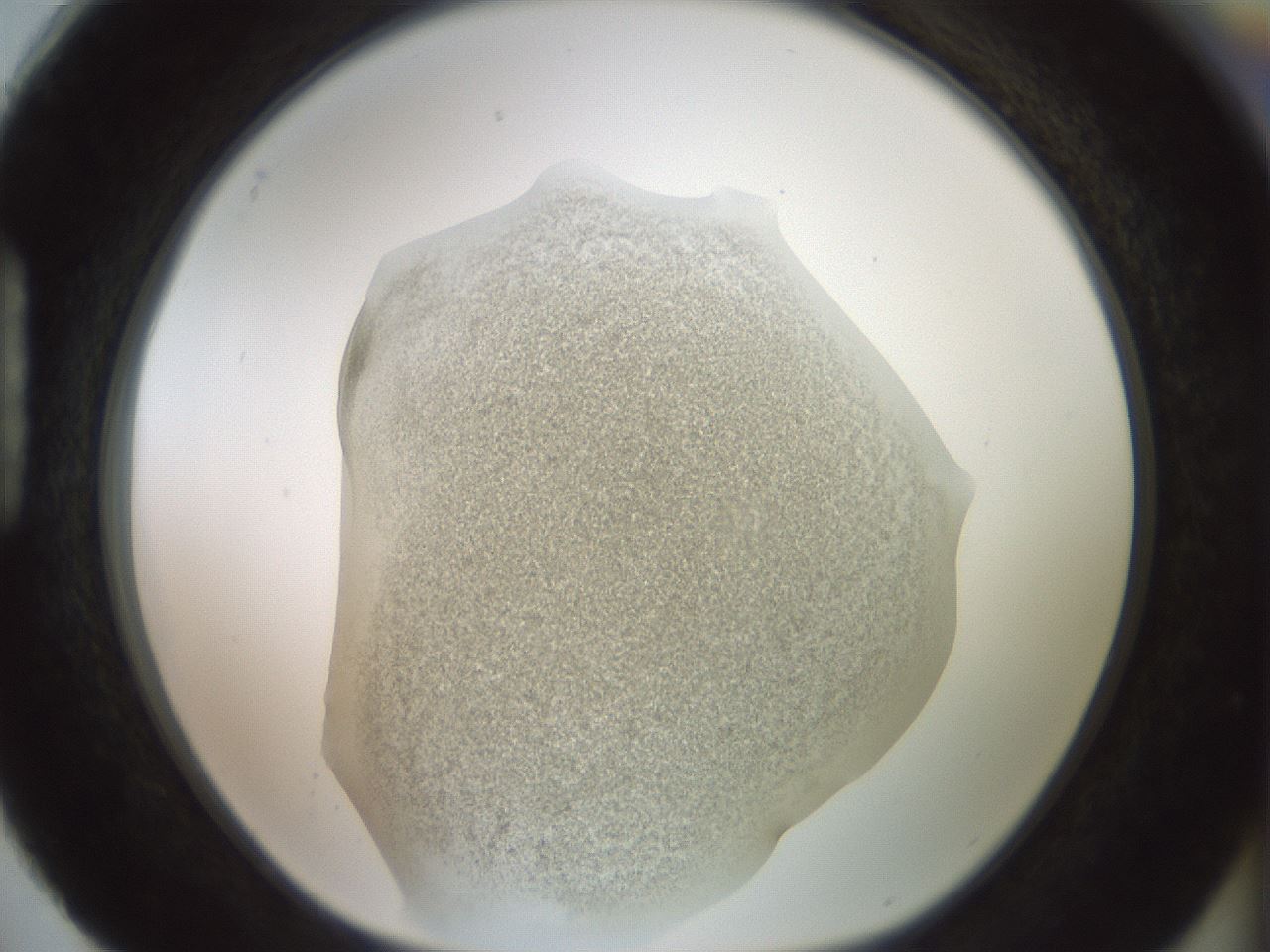 folderID15_plateID2015_batchID8963_wellNum88_profileID1_d1_r135640_ef.jpg