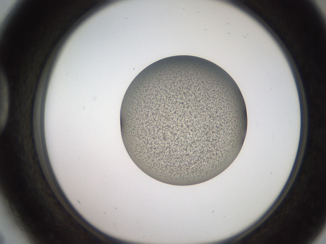 folderID258_plateID2258_batchID10333_wellNum41_profileID1_d1_r156882_ef.jpg