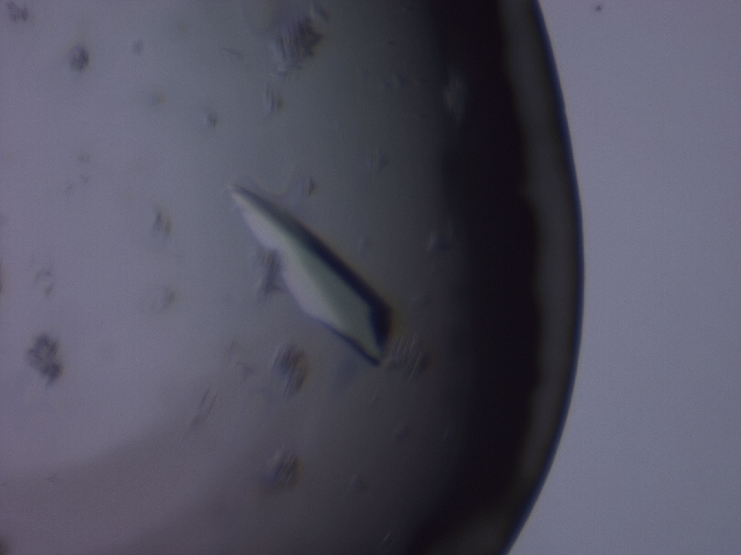 02od_E5_HighResolution_9.jpg