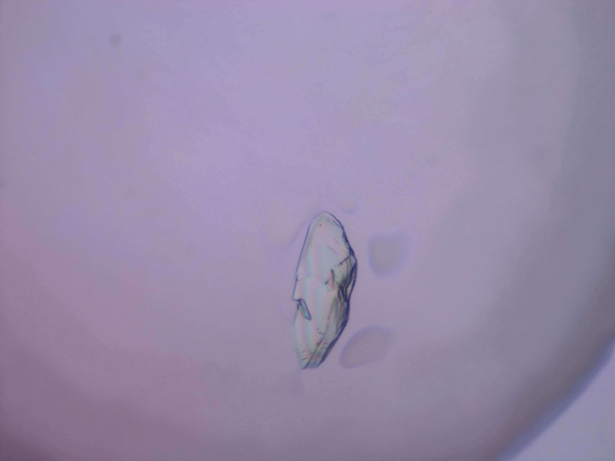 02oe_E10_HighResolution_9.jpg