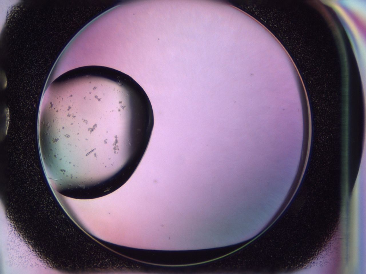 02oe_G4_ImagerDefaults_9.jpg