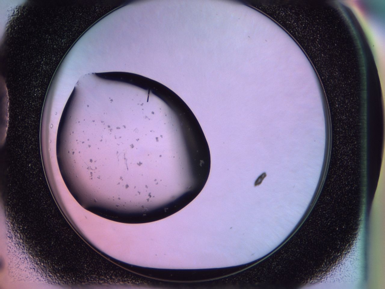 02of_D5_ImagerDefaults_9.jpg