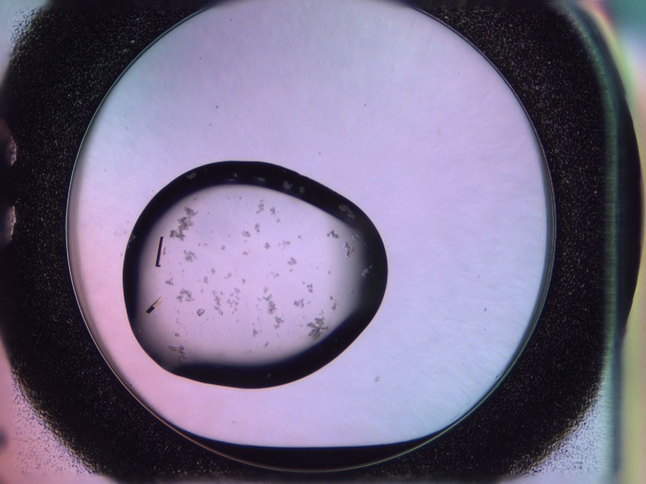 02of_C5_ImagerDefaults_9.jpg