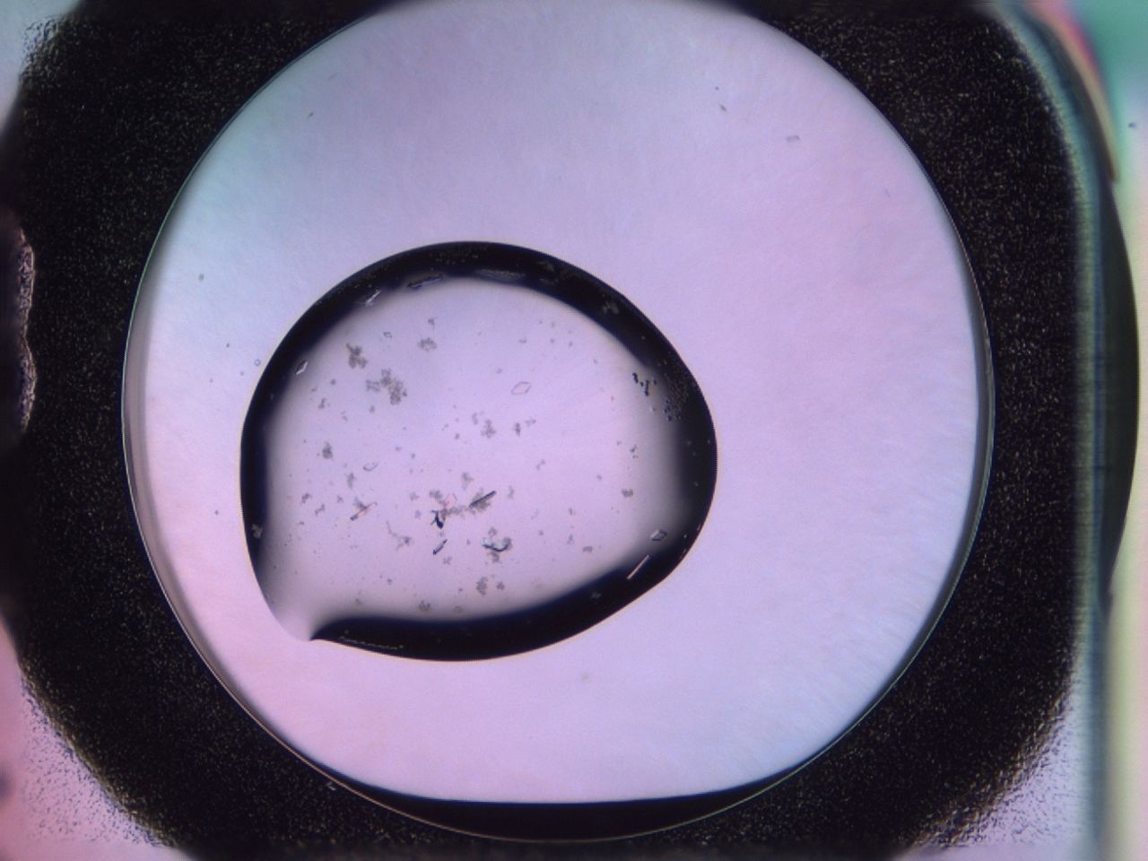 02of_B5_ImagerDefaults_9.jpg
