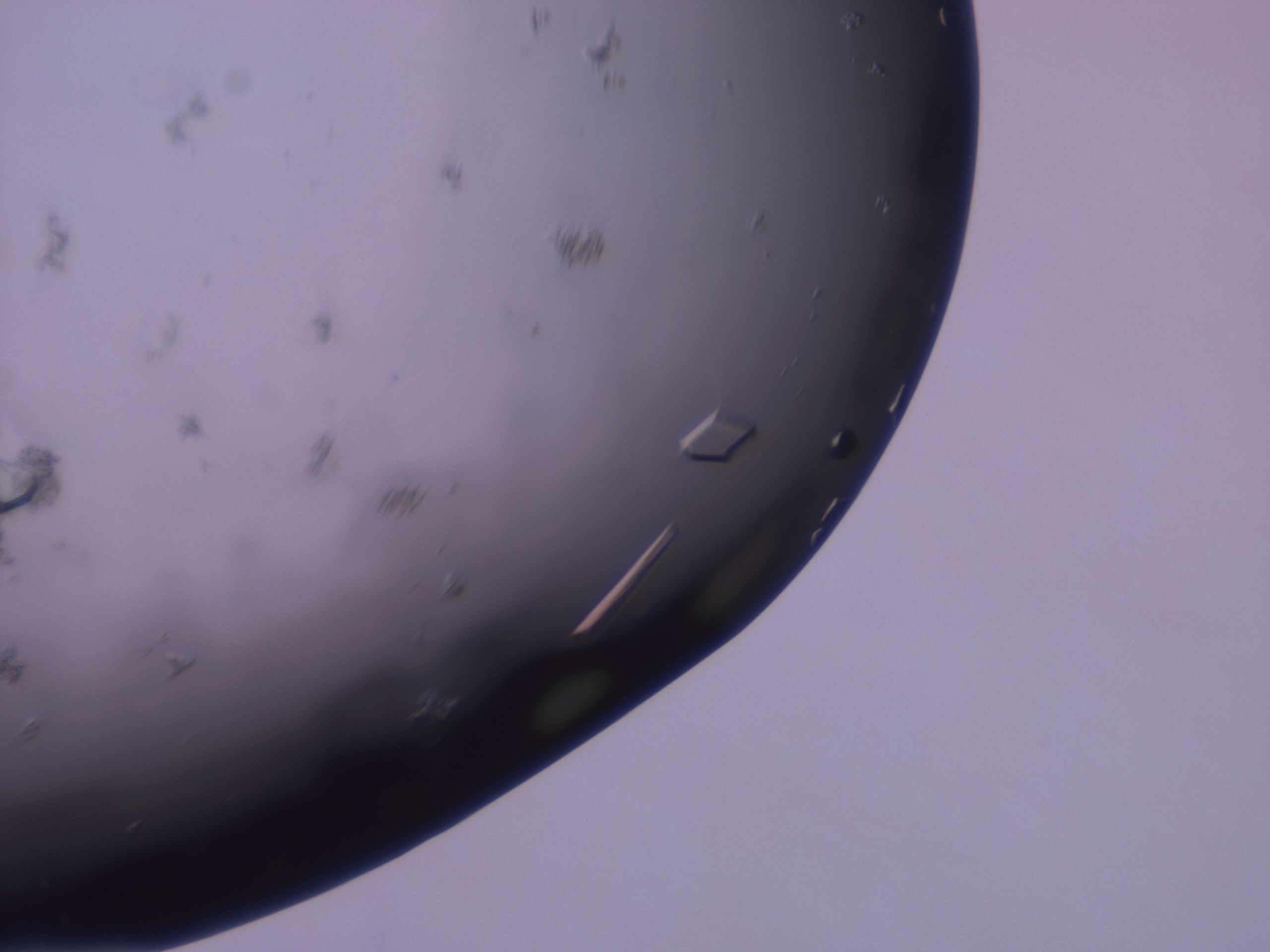 02of_B5_HighResolution_9.jpg