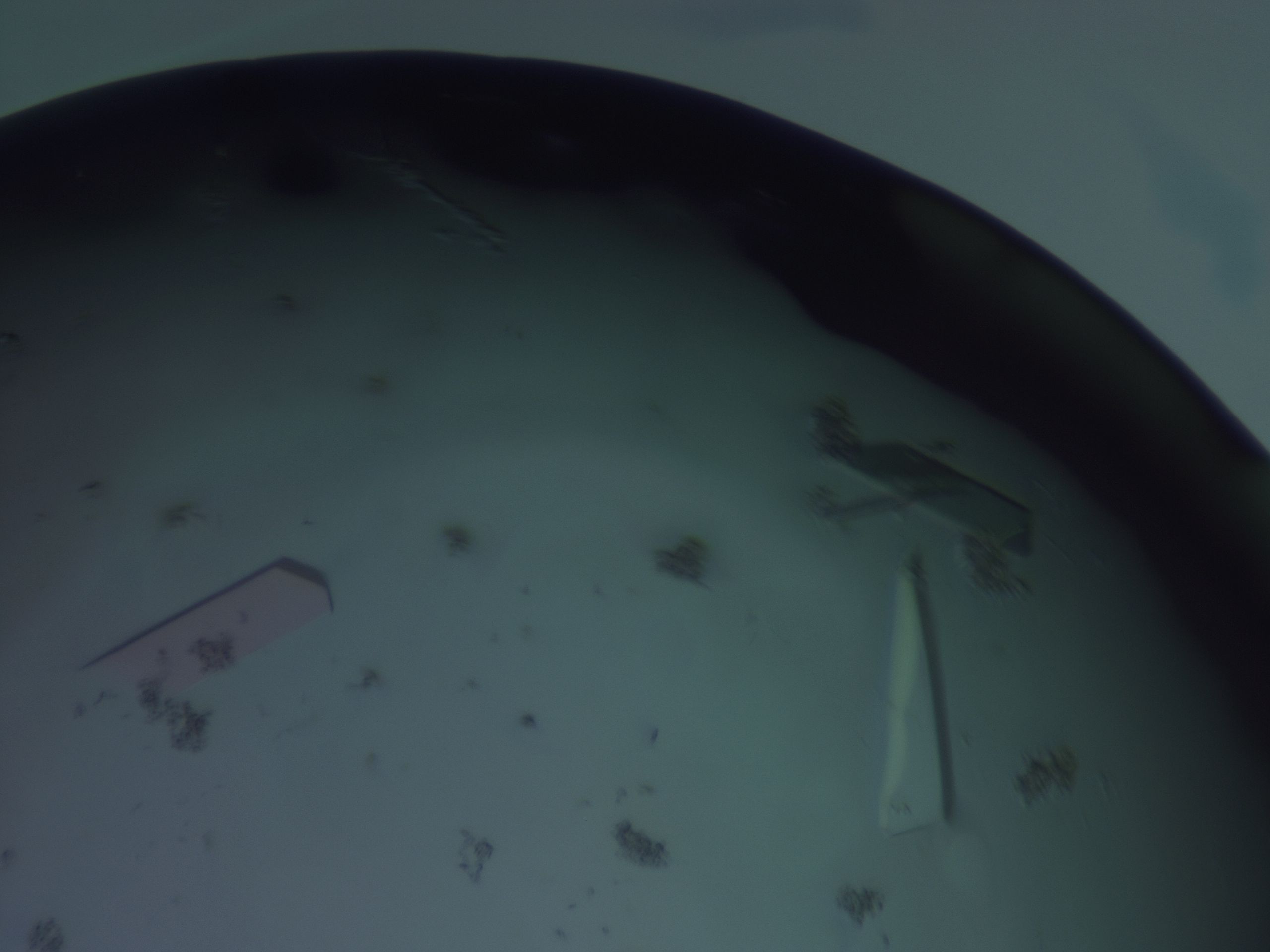 02of_E1_HighResolution_9.jpg