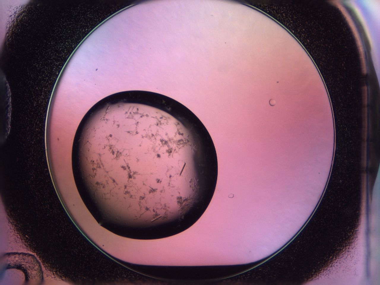02of_D12_ImagerDefaults_9.jpg