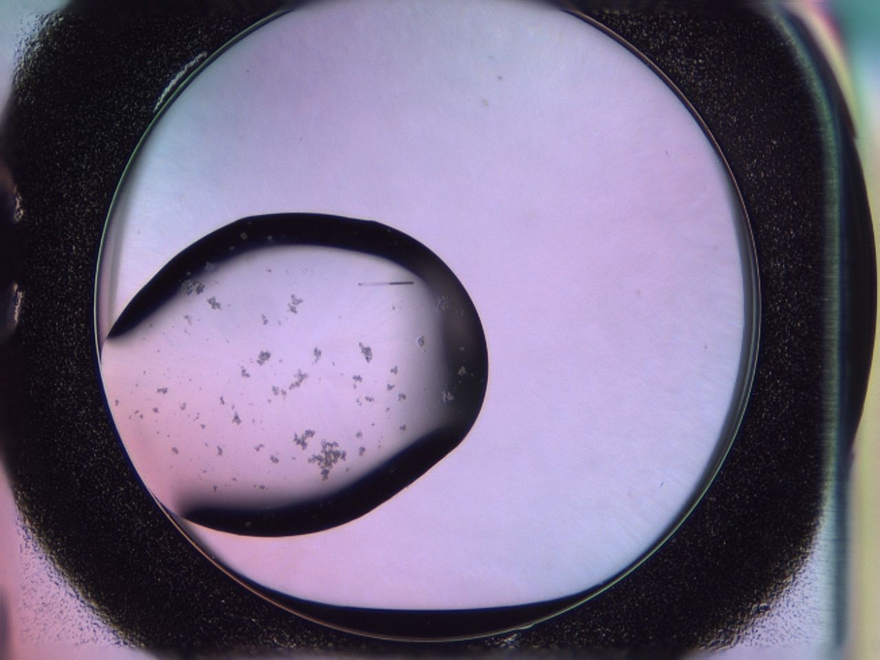 02of_C4_ImagerDefaults_9.jpg