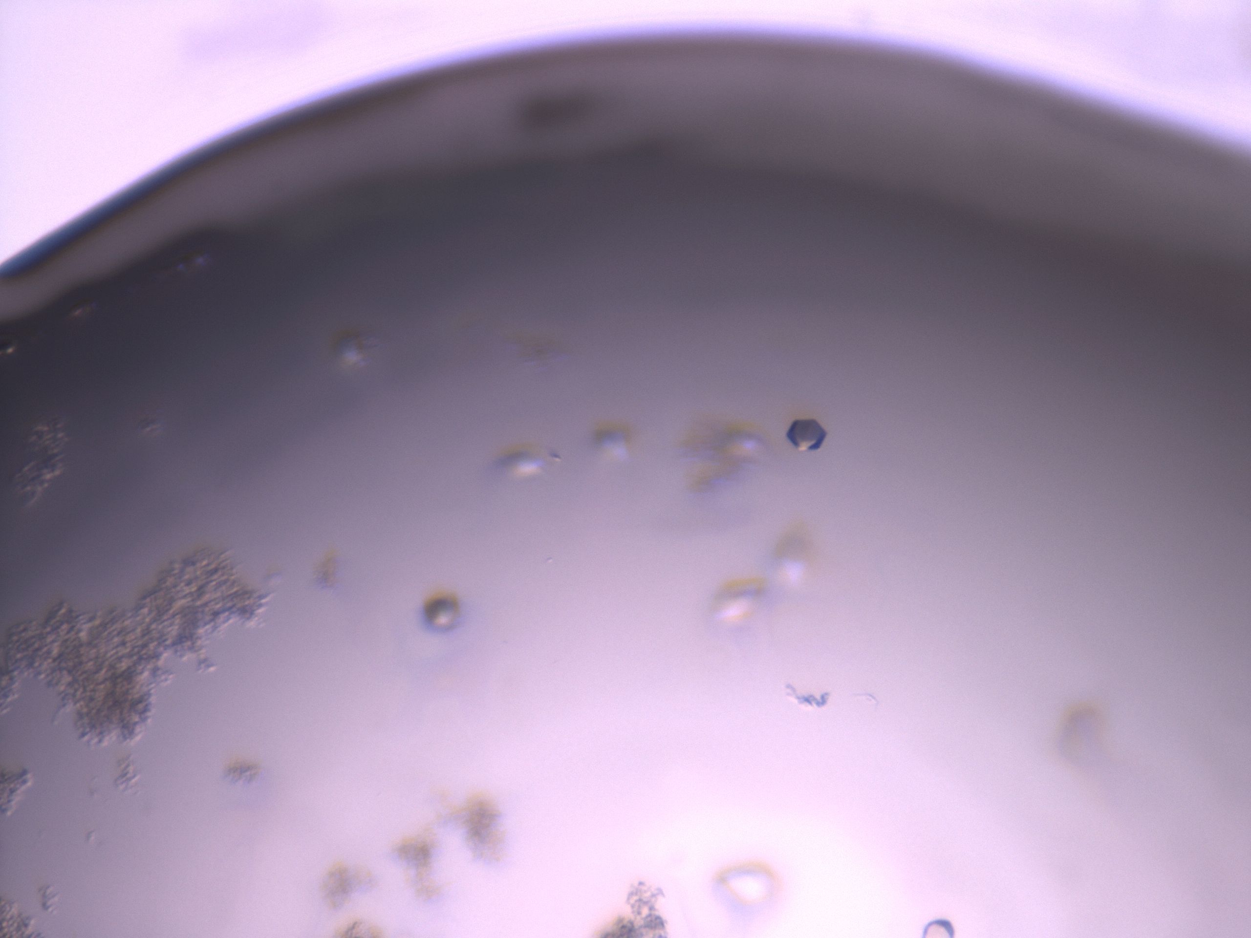 02og_A9_HighResolution_9.jpg
