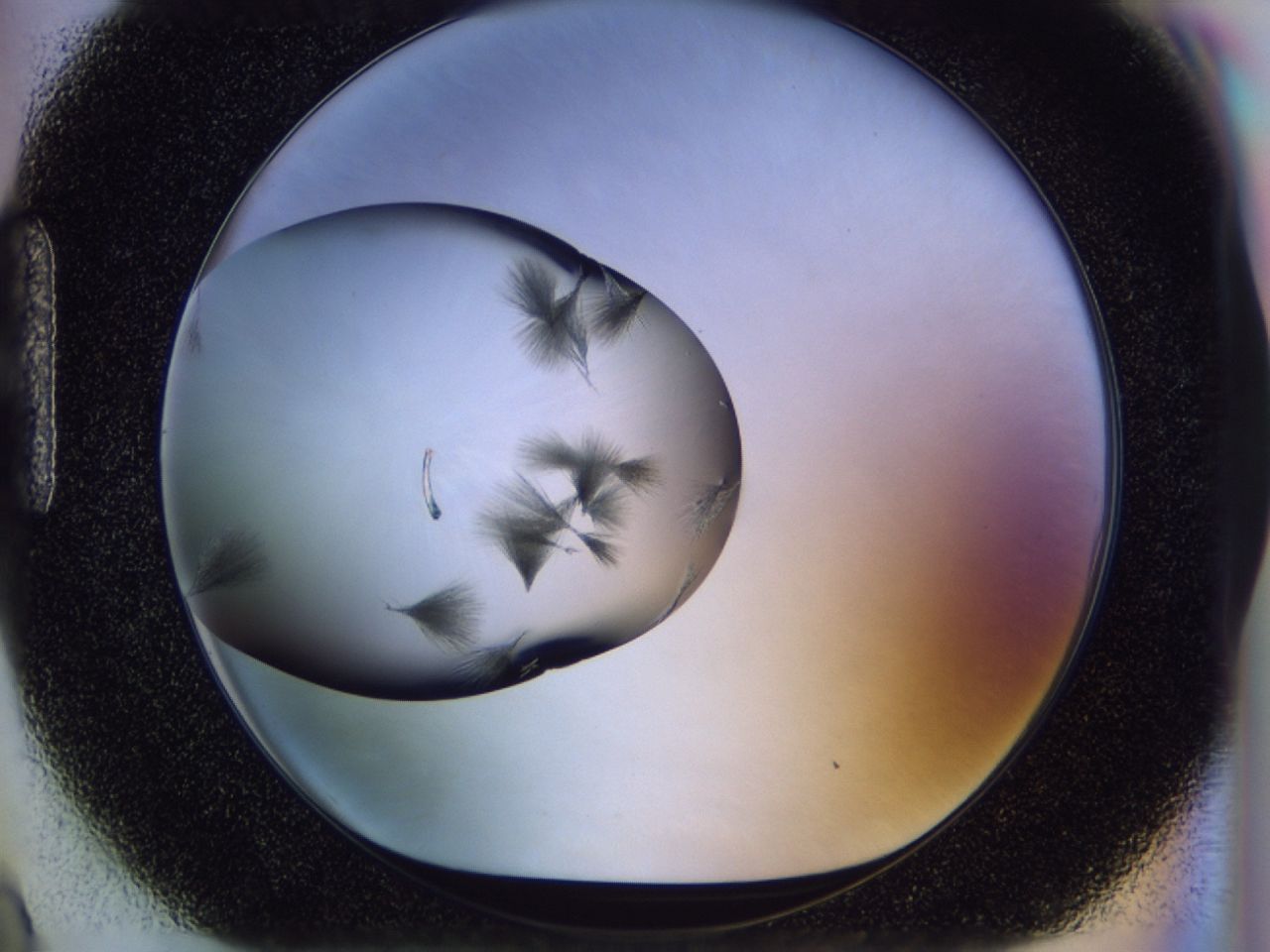 02oi_H9_ImagerDefaults_7.jpg
