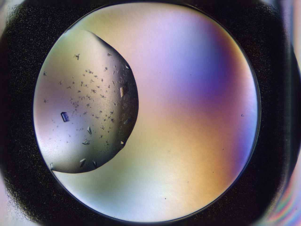 02oi_G6_ImagerDefaults_9.jpg