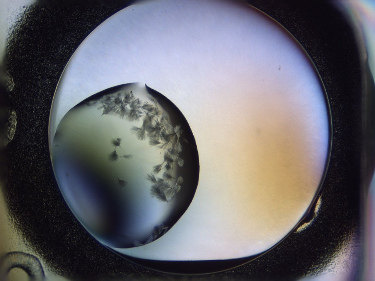 02oi_G10_ImagerDefaults_7.jpg
