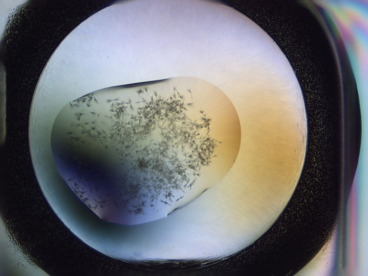 02oi_H1_ImagerDefaults_7.jpg
