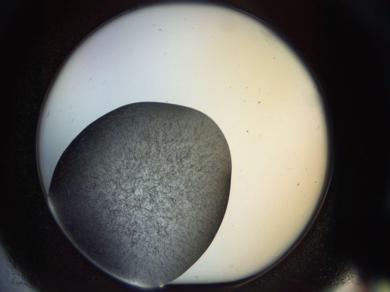 02ol_E5_ImagerDefaults_6.jpg