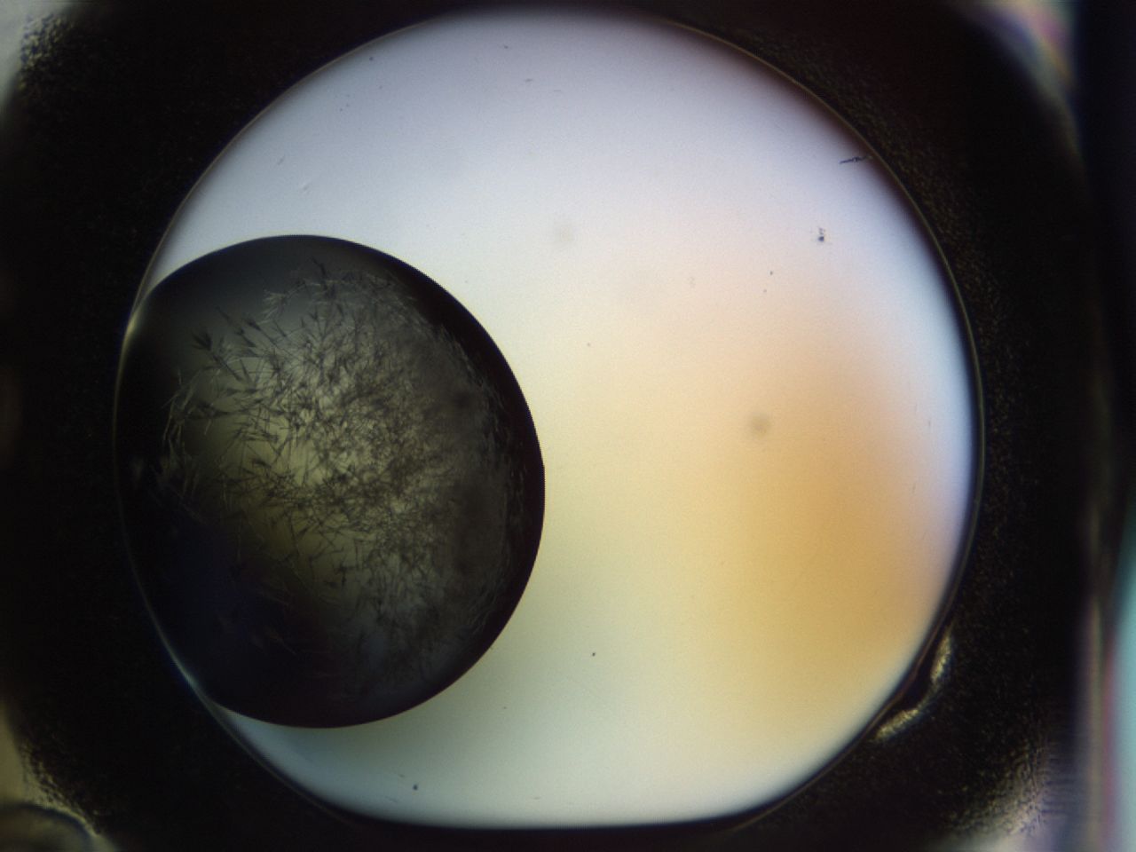 02ol_G10_ImagerDefaults_8.jpg
