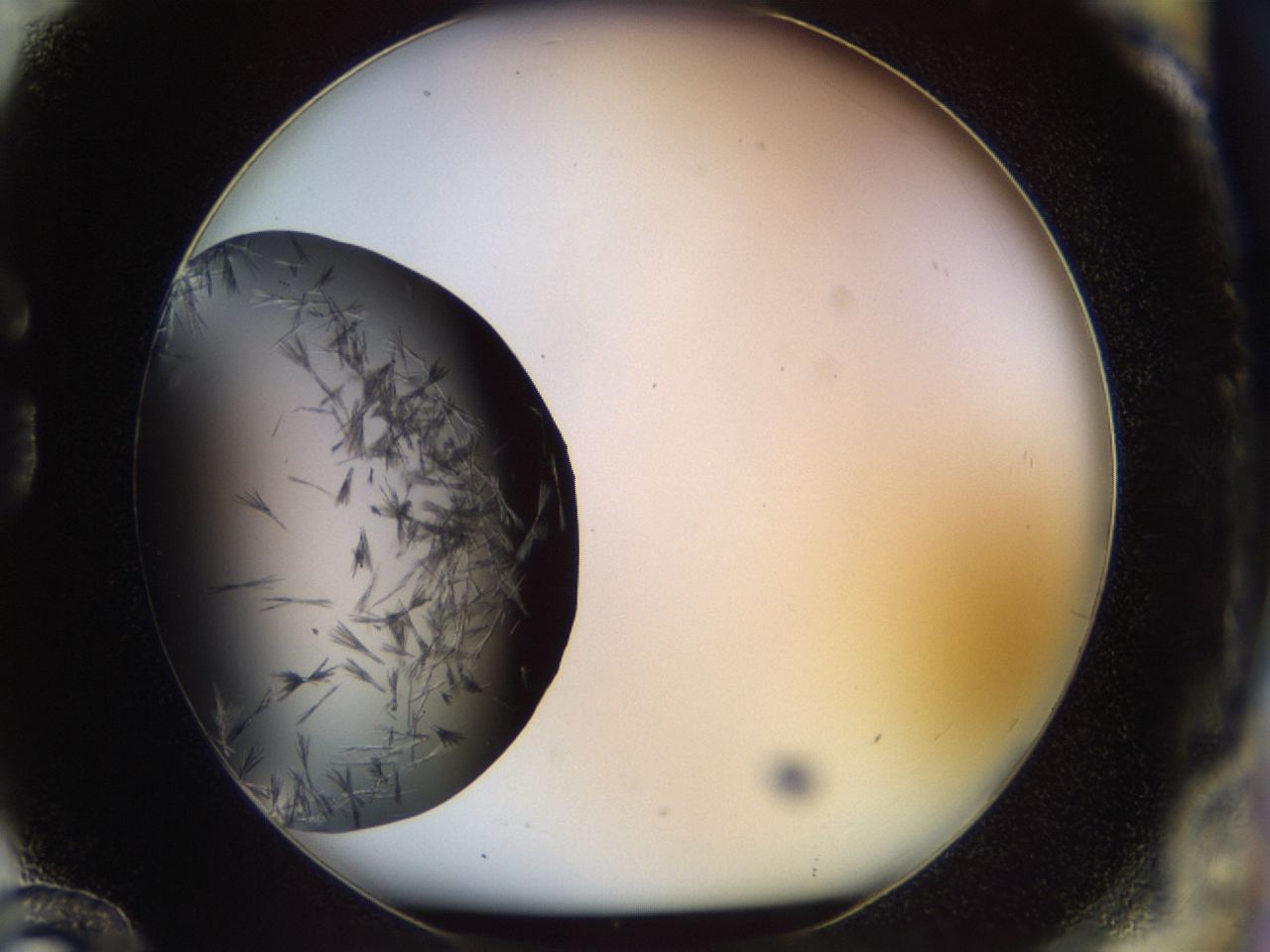 02ol_G12_ImagerDefaults_7.jpg
