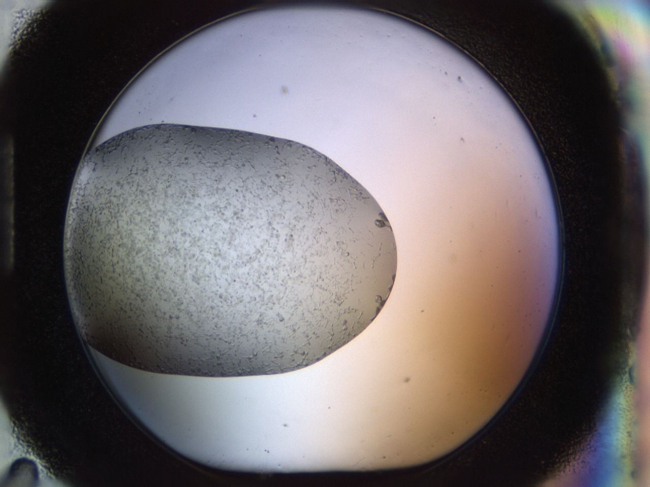 02om_H11_ImagerDefaults_6.jpg