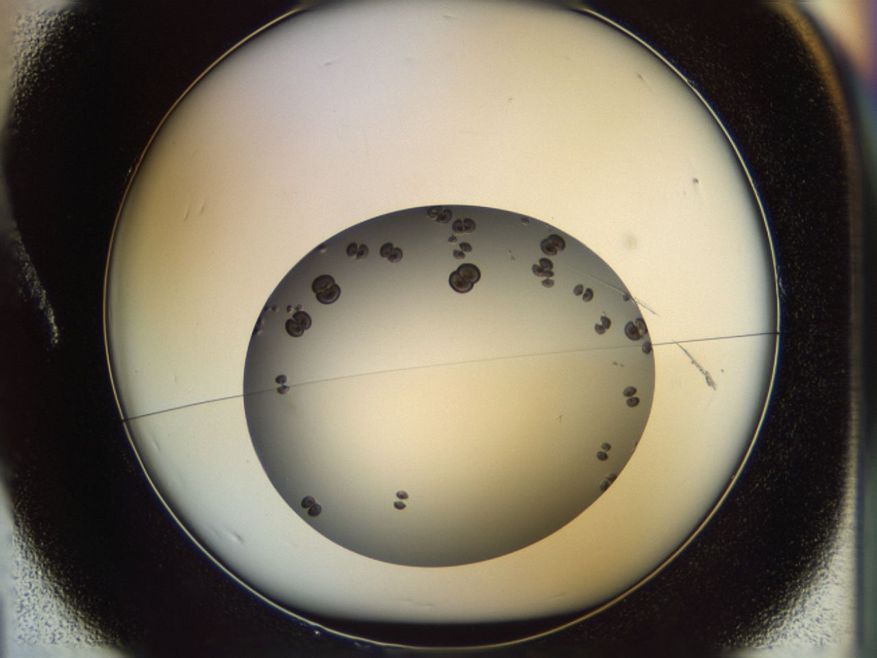 02om_A1_ImagerDefaults_7.jpg
