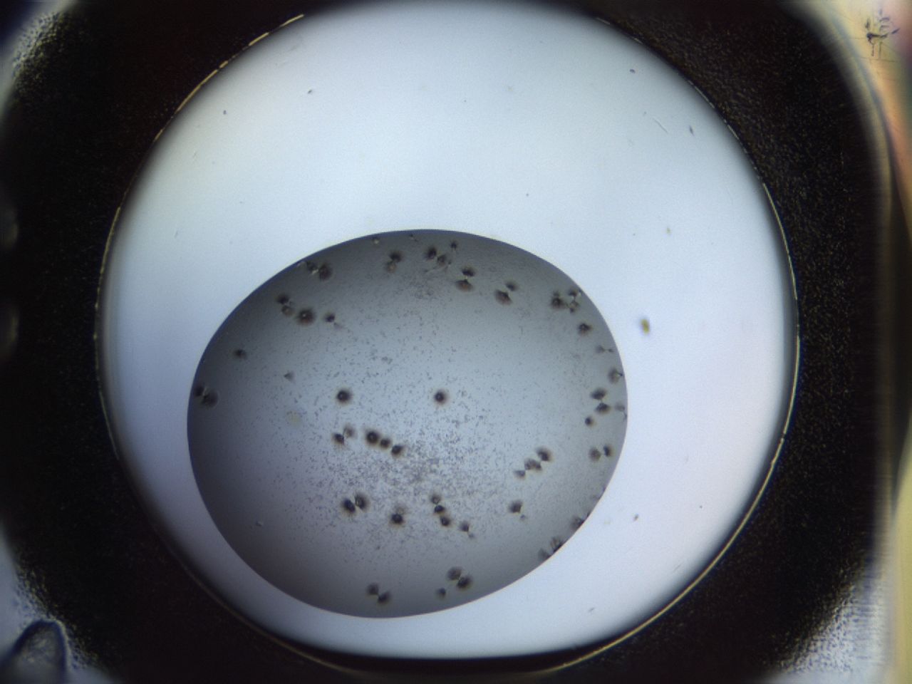 02om_C11_ImagerDefaults_7.jpg