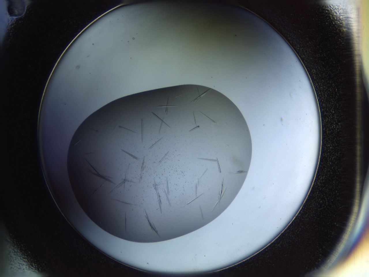 02on_C11_ImagerDefaults_9.jpg