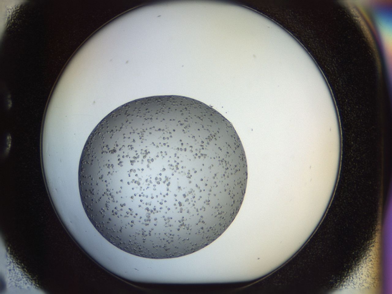 02op_C6_ImagerDefaults_6.jpg