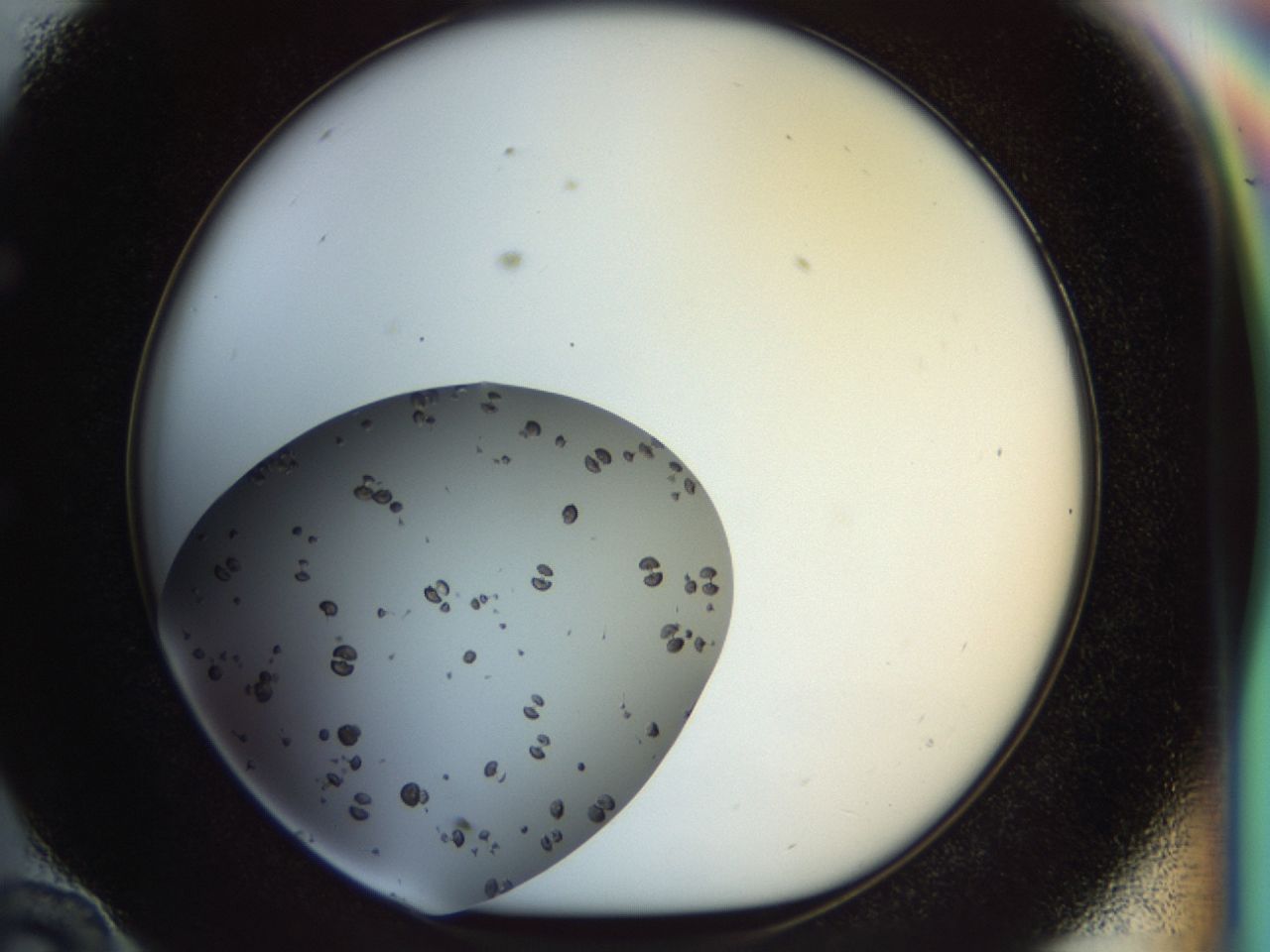 02op_E10_ImagerDefaults_7.jpg