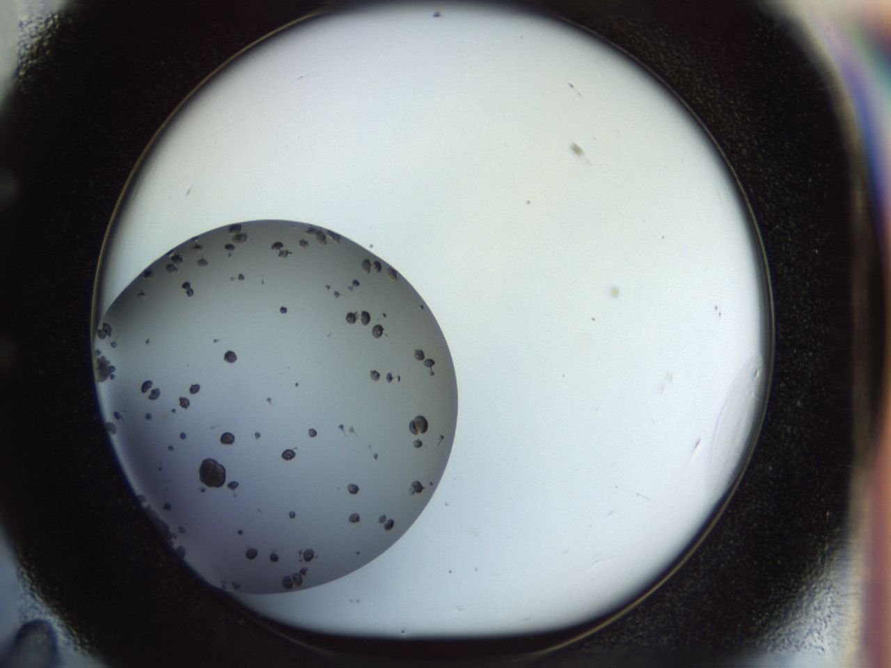 02op_E11_ImagerDefaults_7.jpg