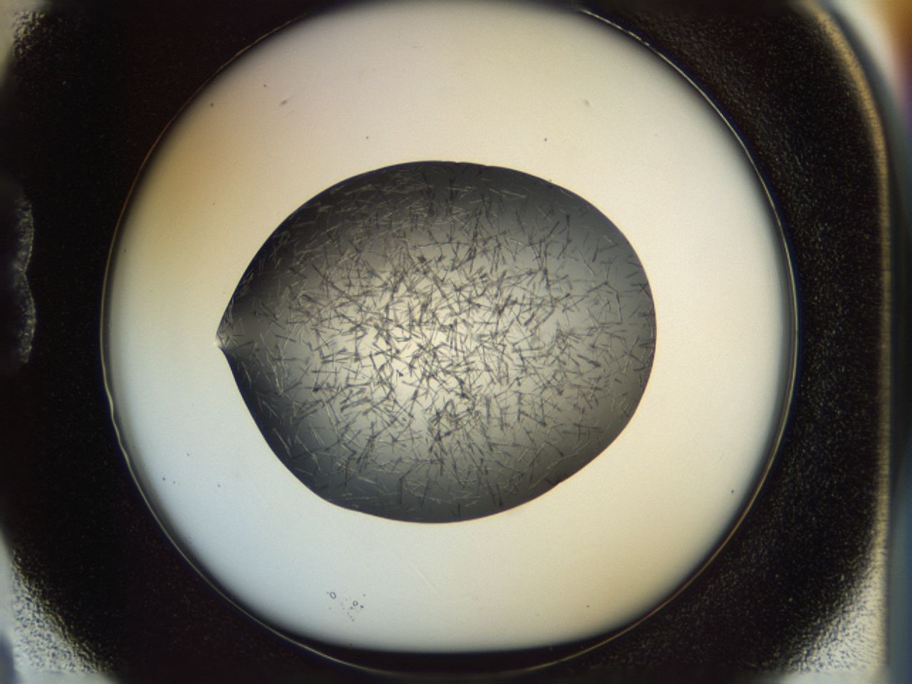 02oq_B3_ImagerDefaults_6.jpg