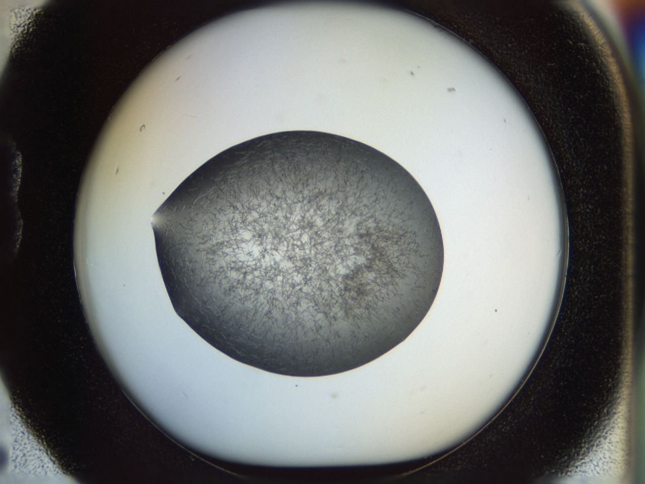 02oq_B5_ImagerDefaults_6.jpg