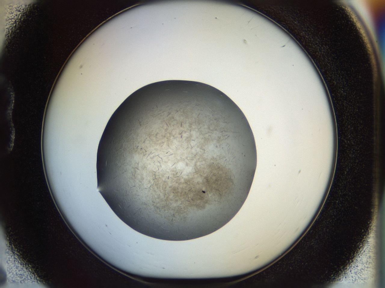 02oq_B6_ImagerDefaults_6.jpg