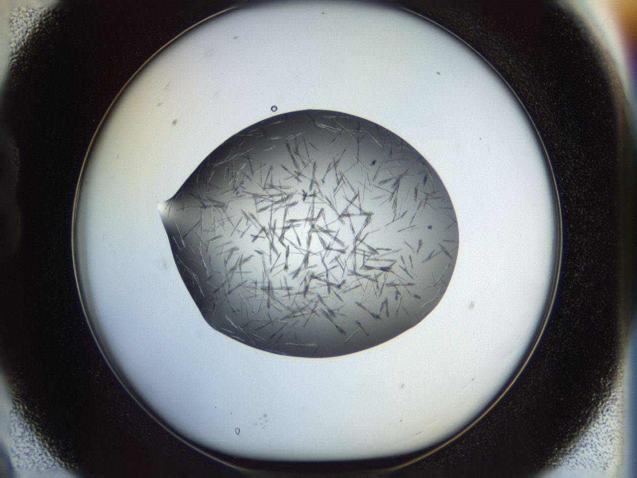 02oq_B9_ImagerDefaults_7.jpg