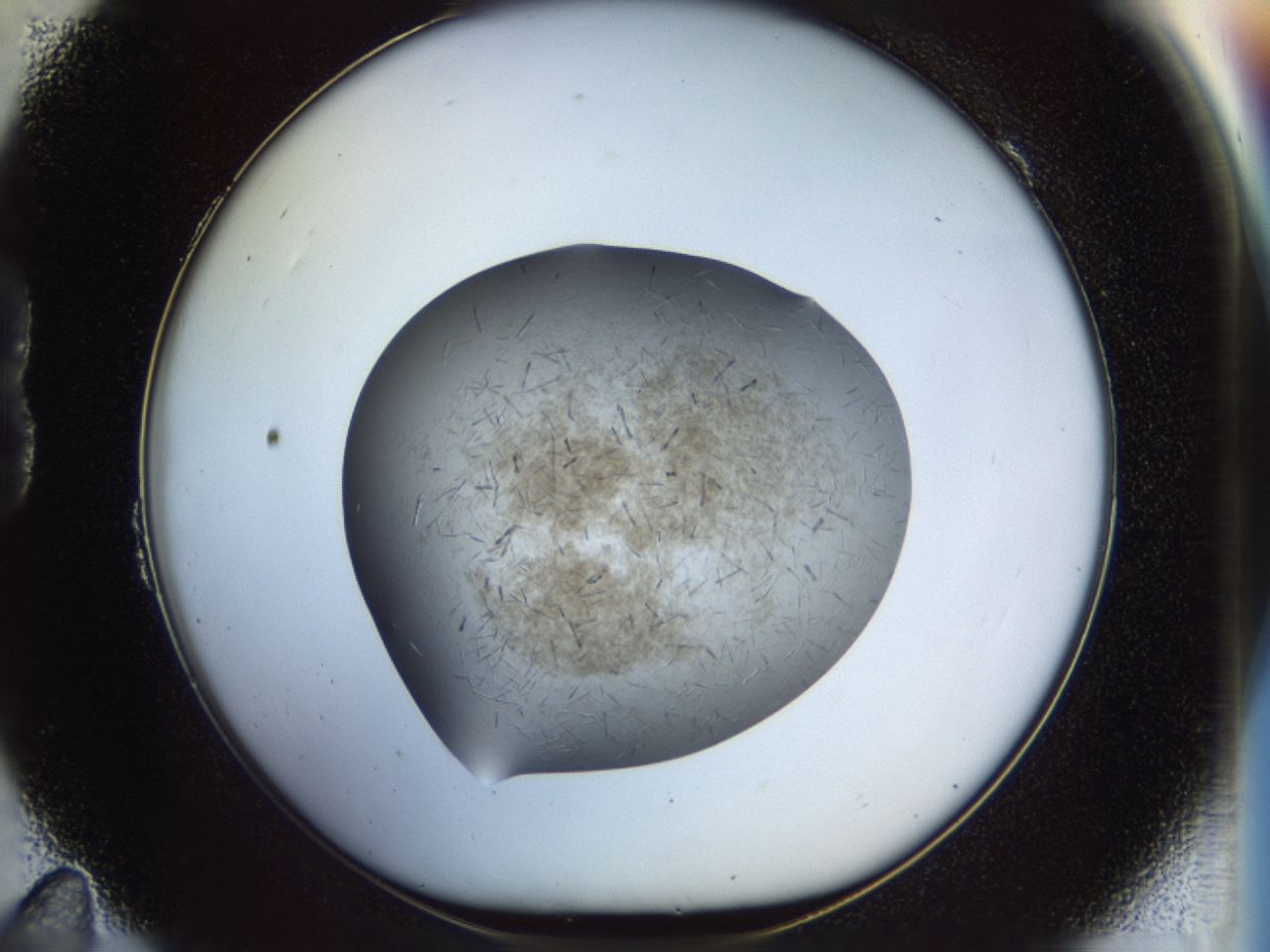 02oq_B11_ImagerDefaults_6.jpg