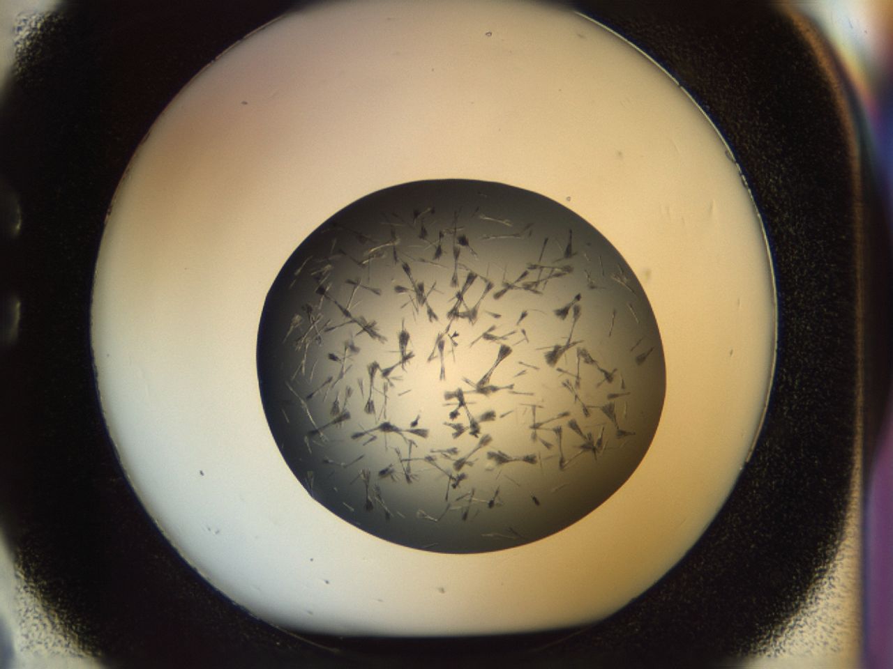 02oq_C2_ImagerDefaults_7.jpg
