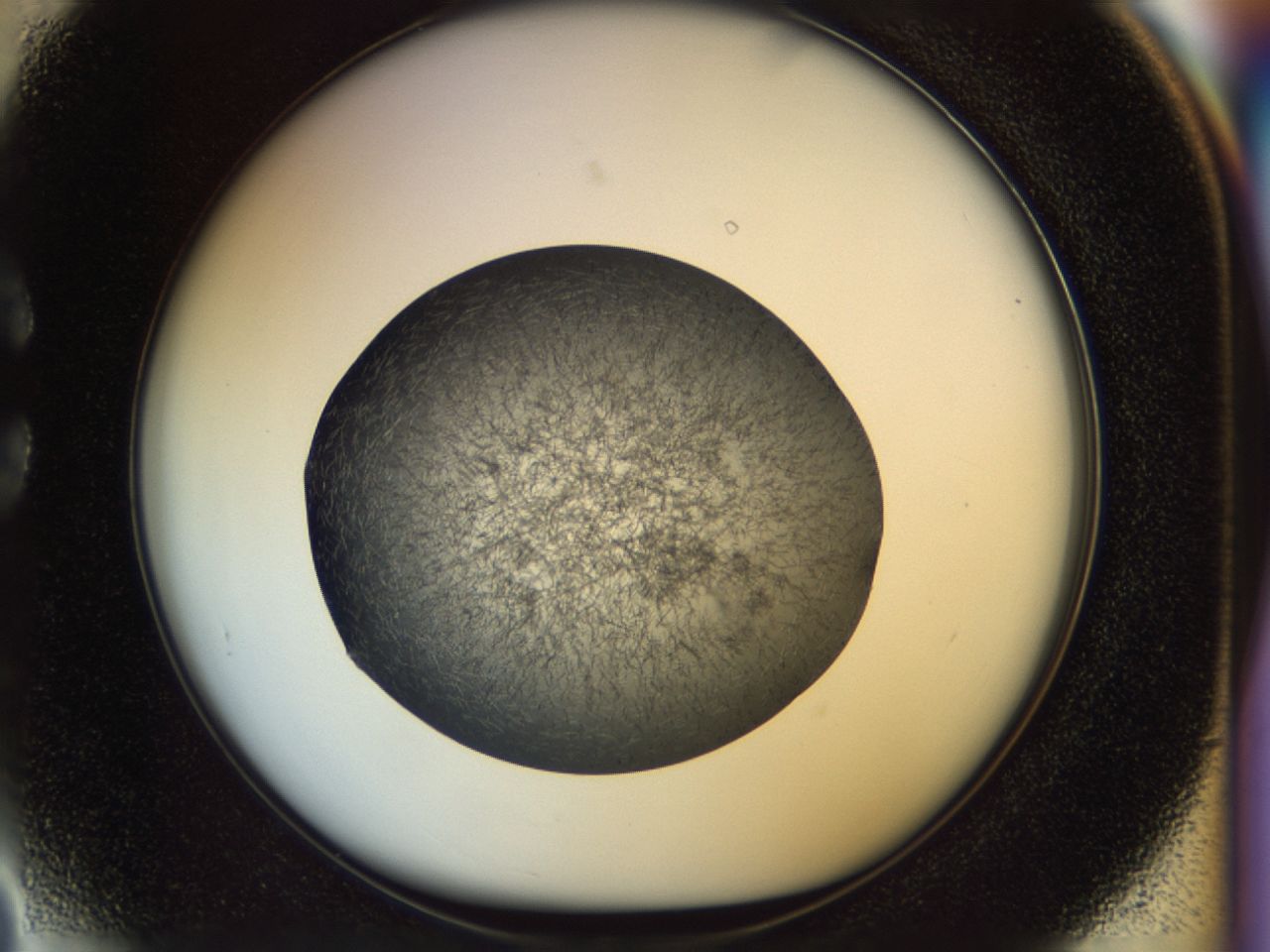 02oq_C3_ImagerDefaults_6.jpg