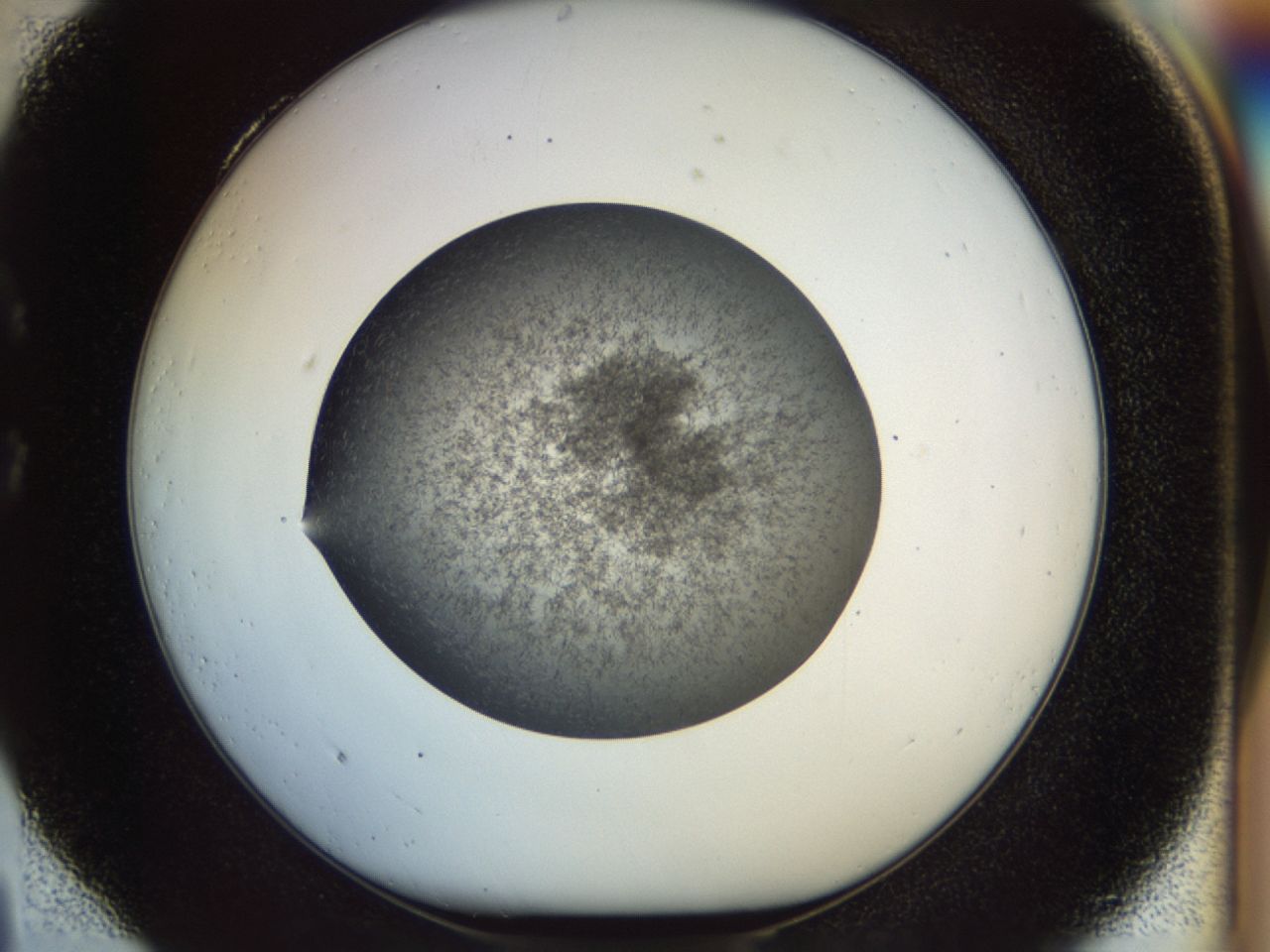 02oq_C4_ImagerDefaults_6.jpg